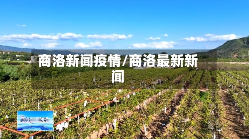 商洛新闻疫情/商洛最新新闻-第1张图片