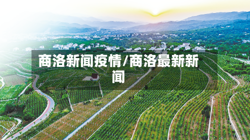 商洛新闻疫情/商洛最新新闻-第2张图片