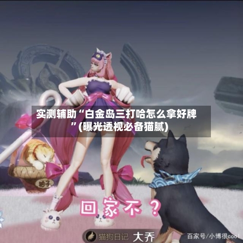 实测辅助“白金岛三打哈怎么拿好牌	”(曝光透视必备猫腻)-第2张图片