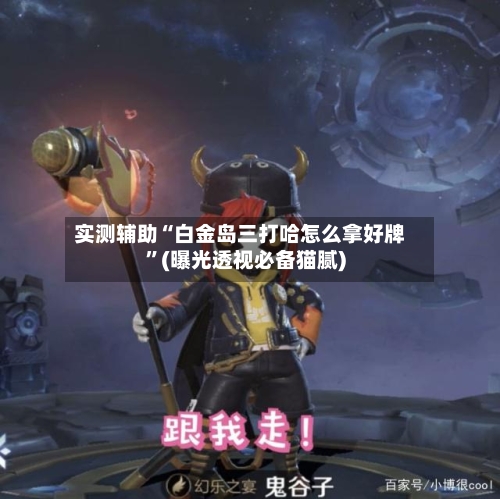 实测辅助“白金岛三打哈怎么拿好牌”(曝光透视必备猫腻)-第1张图片