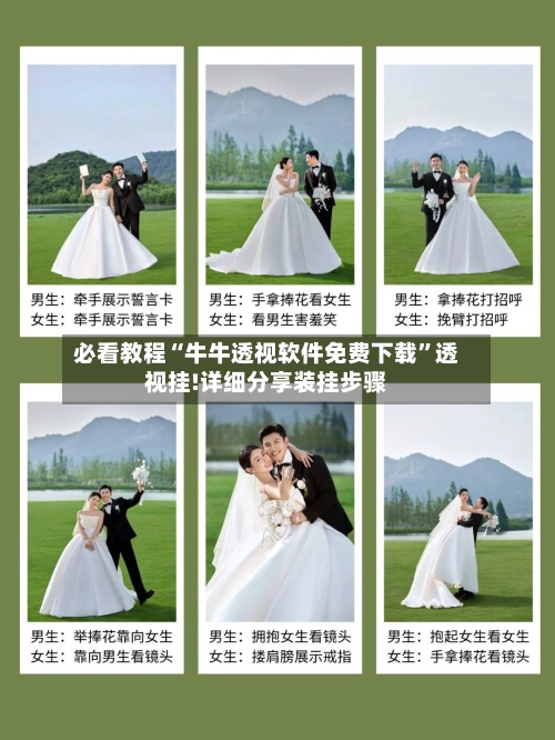 必看教程“牛牛透视软件免费下载	”透视挂!详细分享装挂步骤-第2张图片