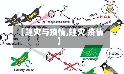 【蝗灾与疫情,蝗灾 疫情】-第1张图片