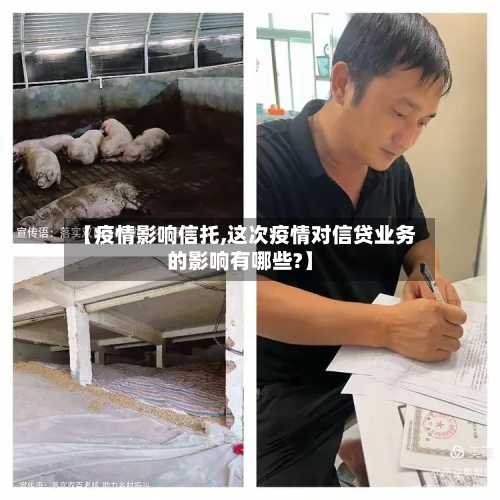 【疫情影响信托,这次疫情对信贷业务的影响有哪些?】-第1张图片