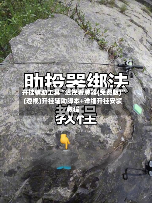 开挂辅助工具“透视看牌器(免费版)”(透视)开挂辅助脚本+详细开挂安装教程-第2张图片