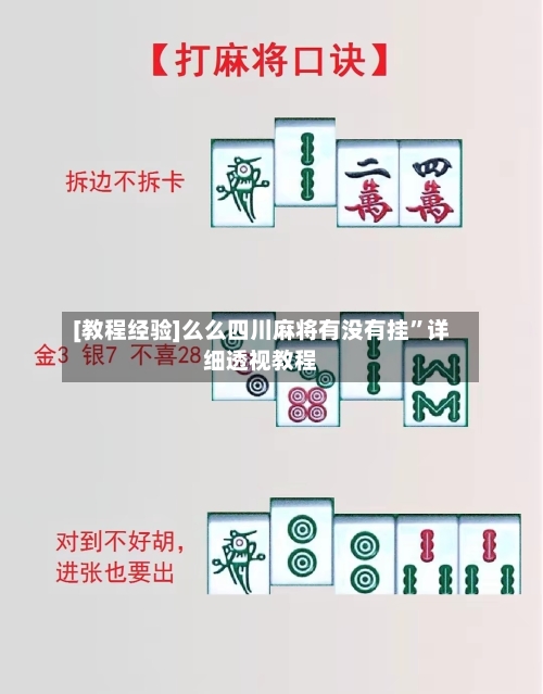 [教程经验]么么四川麻将有没有挂	”详细透视教程-第2张图片
