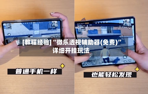 [教程经验]“微乐透视辅助器(免费)”详细开挂玩法-第1张图片