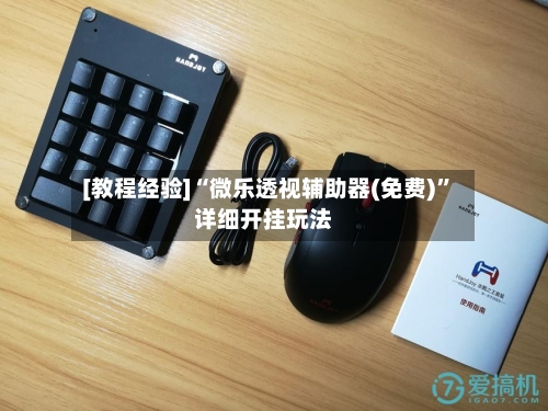 [教程经验]“微乐透视辅助器(免费)”详细开挂玩法-第3张图片