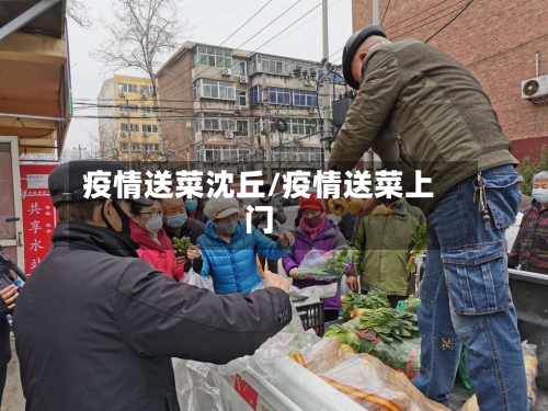 疫情送菜沈丘/疫情送菜上门