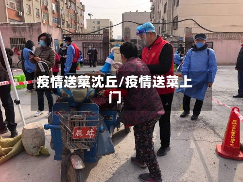 疫情送菜沈丘/疫情送菜上门-第2张图片
