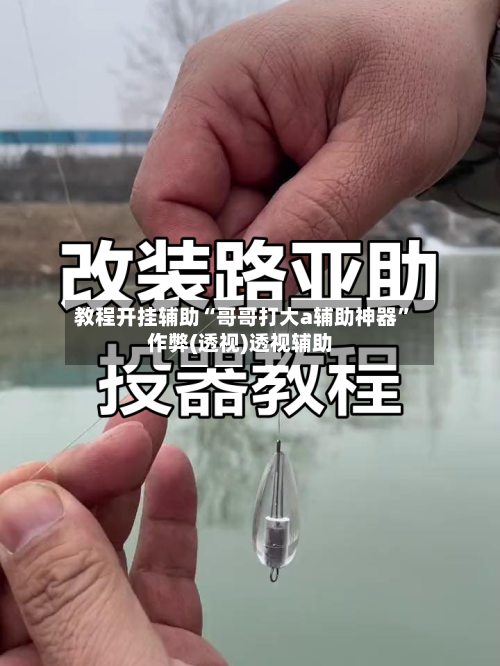 教程开挂辅助“哥哥打大a辅助神器	”作弊(透视)透视辅助-第2张图片