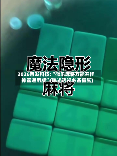 2026首发科技:“微乐麻将万能开挂神器通用版”(曝光透视必备猫腻)-第1张图片
