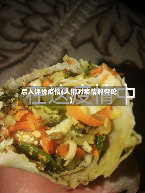 后人评说疫情(人们对疫情的评论)-第2张图片
