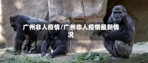 广州非人疫情/广州非人疫情最新情况-第2张图片
