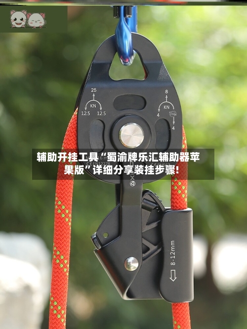 辅助开挂工具“蜀渝牌乐汇辅助器苹果版”详细分享装挂步骤!-第1张图片