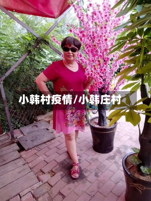 小韩村疫情/小韩庄村-第1张图片