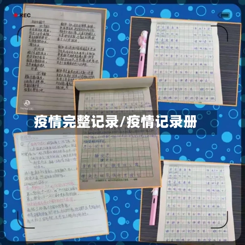 疫情完整记录/疫情记录册-第3张图片