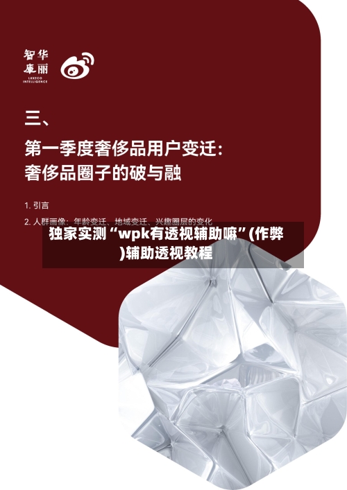 独家实测“wpk有透视辅助嘛”(作弊)辅助透视教程-第1张图片