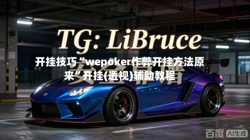 开挂技巧“wepoker作弊开挂方法原来	”开挂(透视)辅助教程-第2张图片