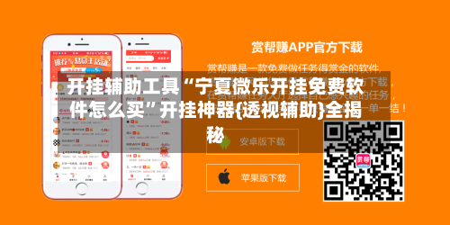 开挂辅助工具“宁夏微乐开挂免费软件怎么买”开挂神器{透视辅助}全揭秘-第1张图片