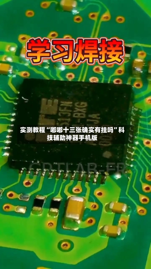 实测教程“嘟嘟十三张确实有挂吗”科技辅助神器手机版-第2张图片