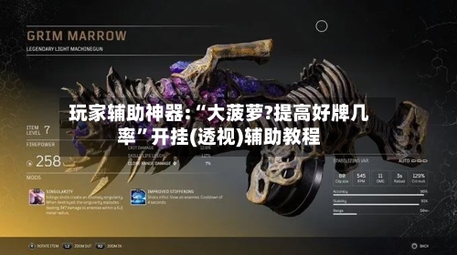 玩家辅助神器:“大菠萝?提高好牌几率”开挂(透视)辅助教程-第3张图片