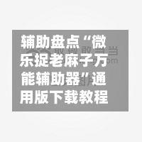 辅助盘点“微乐捉老麻子万能辅助器”通用版下载教程-第2张图片