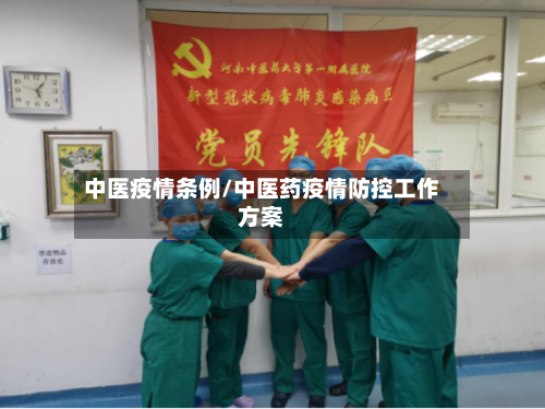 中医疫情条例/中医药疫情防控工作方案-第2张图片