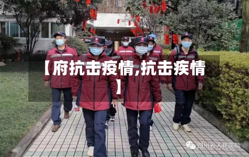 【府抗击疫情,抗击疾情】-第1张图片