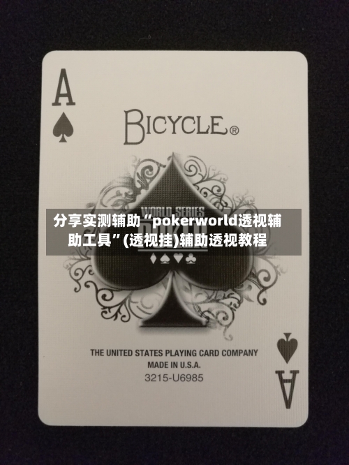 分享实测辅助“pokerworld透视辅助工具”(透视挂)辅助透视教程
