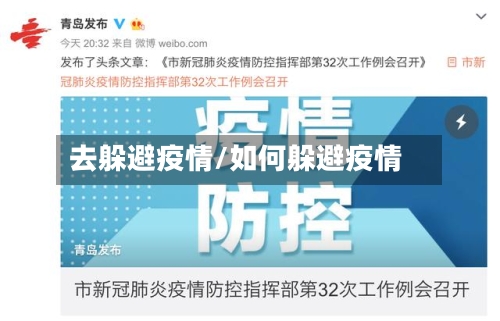 去躲避疫情/如何躲避疫情-第2张图片