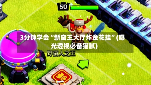 3分钟学会“新蛮王大厅炸金花挂	”(曝光透视必备猫腻)-第2张图片