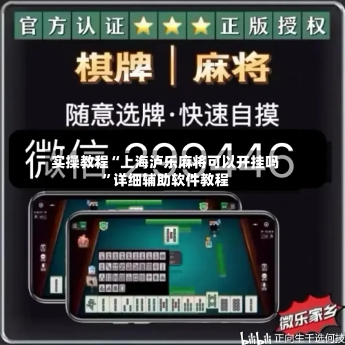 实操教程“上海泸乐麻将可以开挂吗”详细辅助软件教程-第3张图片