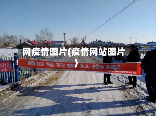 网疫情图片(疫情网站图片)