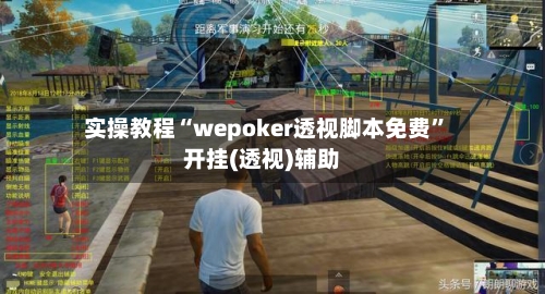 实操教程“wepoker透视脚本免费”开挂(透视)辅助-第3张图片
