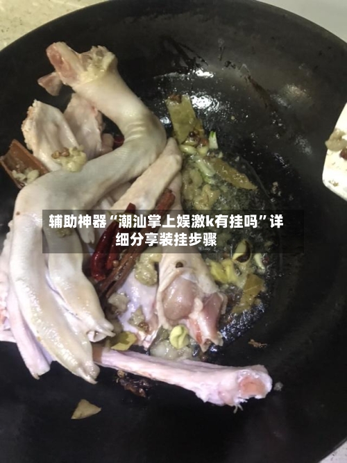 辅助神器“潮汕掌上娱激k有挂吗”详细分享装挂步骤-第2张图片