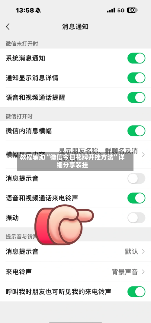 教程辅助“微信今日花牌开挂方法”详细分享装挂-第3张图片