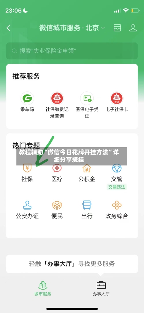 教程辅助“微信今日花牌开挂方法	”详细分享装挂-第2张图片