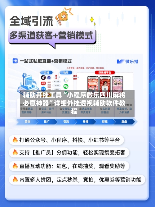 辅助开挂工具“小程序微乐四川麻将必赢神器”详细外挂透视辅助软件教程-第2张图片