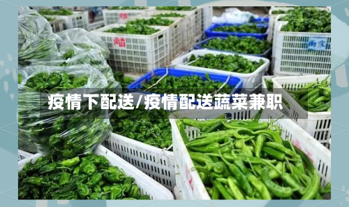 疫情下配送/疫情配送蔬菜兼职-第3张图片