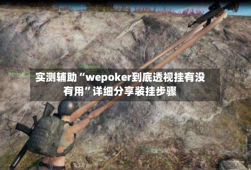 实测辅助“wepoker到底透视挂有没有用”详细分享装挂步骤-第1张图片