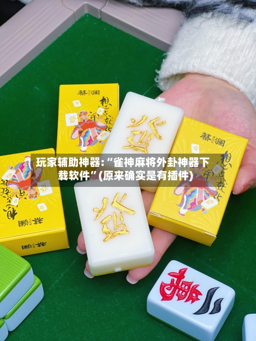 玩家辅助神器:“雀神麻将外卦神器下载软件”(原来确实是有插件)-第2张图片