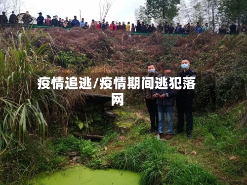 疫情追逃/疫情期间逃犯落网-第1张图片