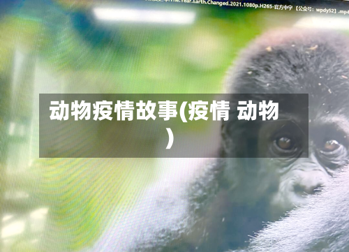 动物疫情故事(疫情 动物)-第2张图片