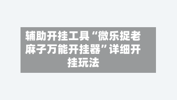 辅助开挂工具“微乐捉老麻子万能开挂器”详细开挂玩法-第2张图片