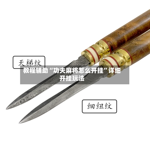 教程辅助“功夫麻将怎么开挂”详细开挂玩法-第1张图片