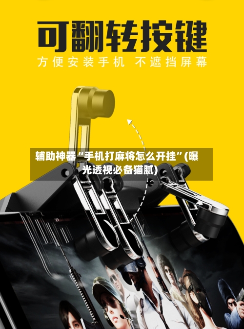 辅助神器“手机打麻将怎么开挂	”(曝光透视必备猫腻)-第1张图片