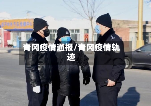 青冈疫情通报/青冈疫情轨迹-第2张图片
