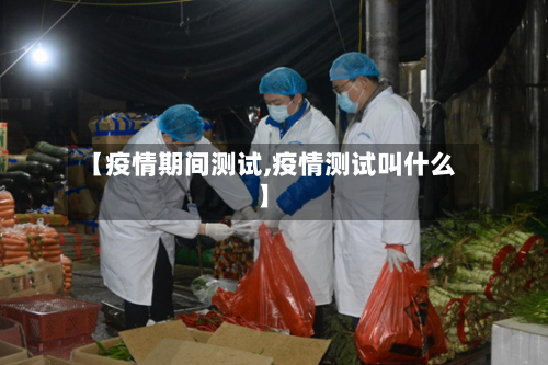 【疫情期间测试,疫情测试叫什么】-第2张图片