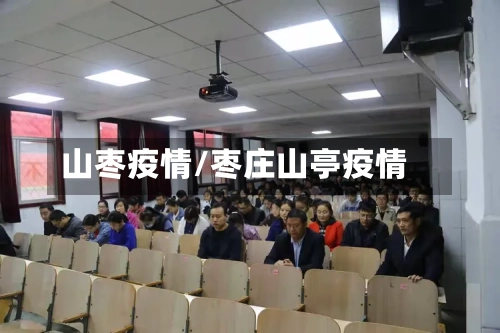 山枣疫情/枣庄山亭疫情-第2张图片