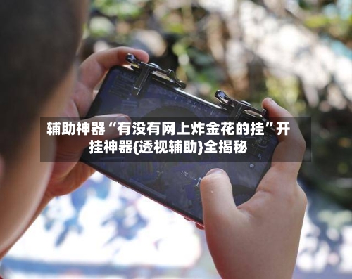 辅助神器“有没有网上炸金花的挂”开挂神器{透视辅助}全揭秘-第3张图片